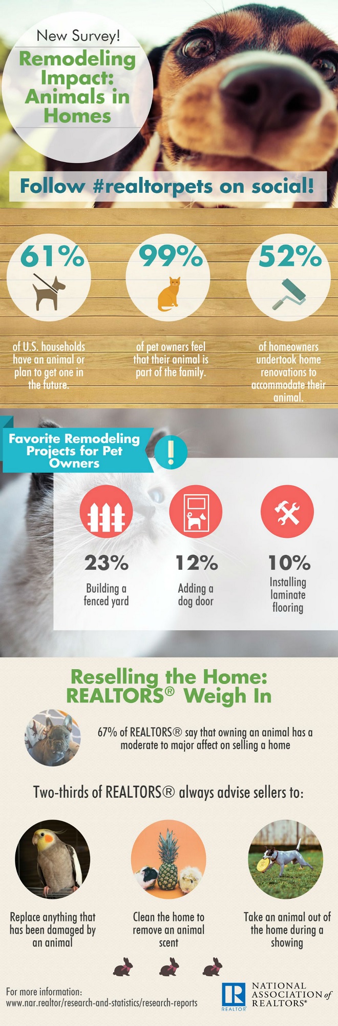 NAR Animals in Homes Infographic