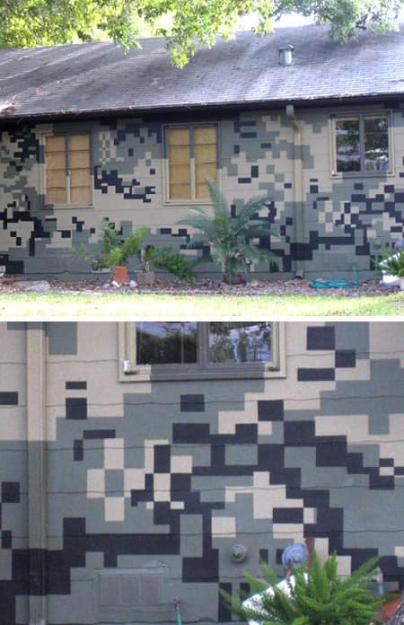 Camouflage House1
