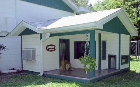 Dog House 1