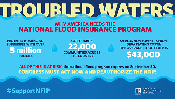 Flood Insurance Infographic
