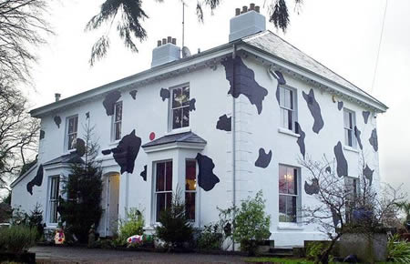 101 Dalmations House