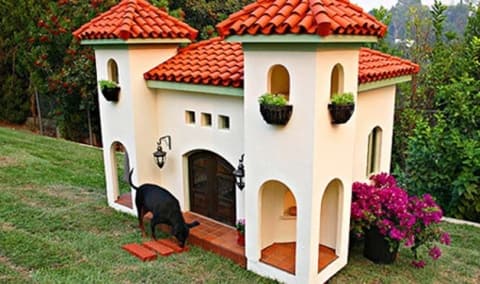 Dog House 3