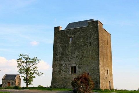 Killahara Castle 1