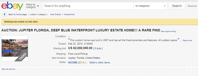 Single Property Website eBay Listing